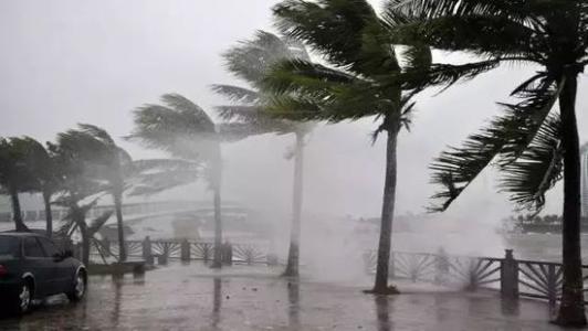 8月臺(tái)風(fēng)雨即將來(lái)，除濕機(jī)還得用起來(lái)