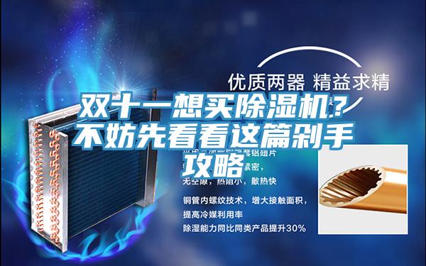 雙十一想買除濕機(jī)？不妨先看看這篇剁手攻略