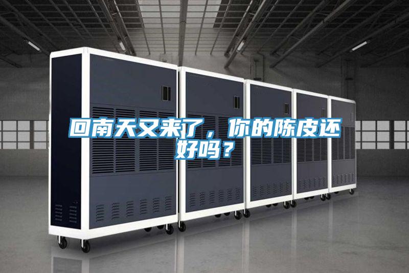 回南天又來了，你的陳皮還好嗎？