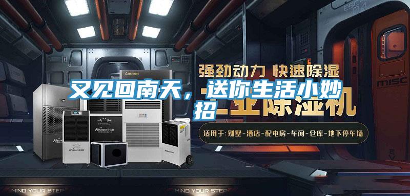 又見回南天，送你生活小妙招