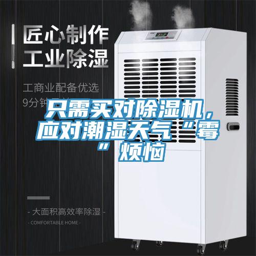 只需買對除濕機，應對潮濕天氣“霉”煩惱