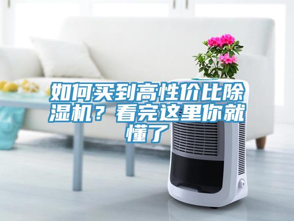 如何買到高性價比除濕機？看完這里你就懂了