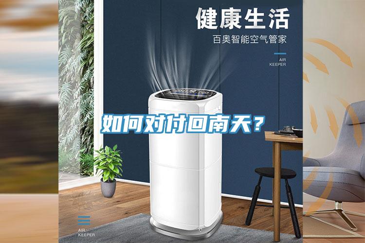 如何對付回南天？