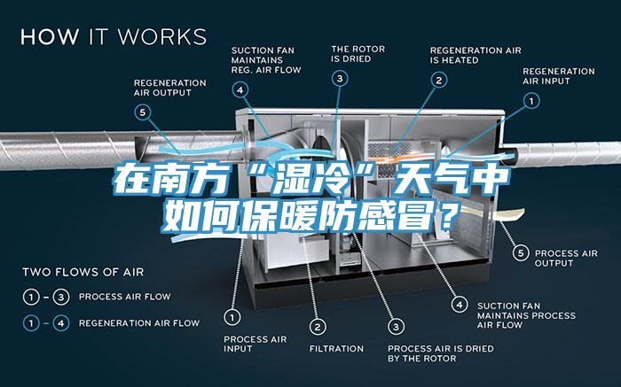 在南方“濕冷”天氣中如何保暖防感冒？