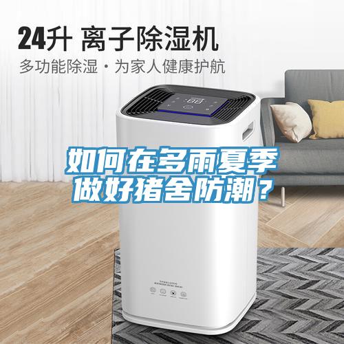 如何在多雨夏季做好豬舍防潮？