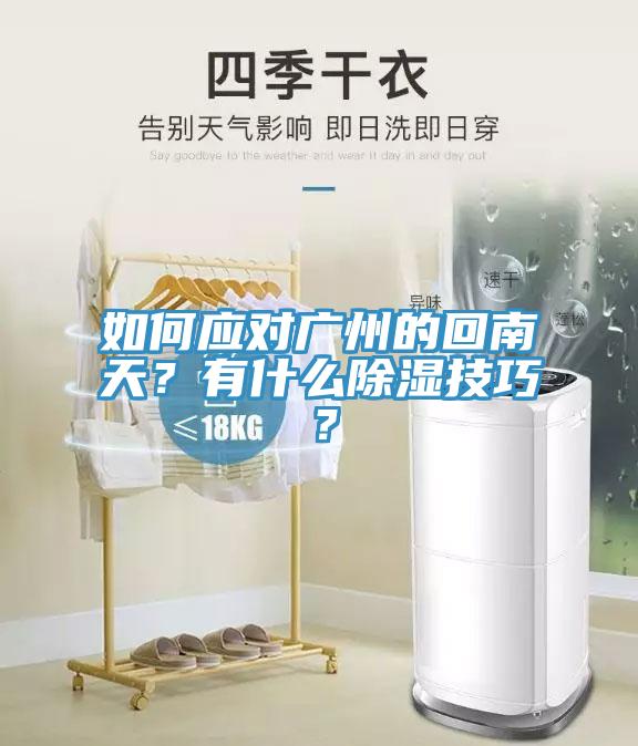 如何應(yīng)對廣州的回南天？有什么除濕技巧？