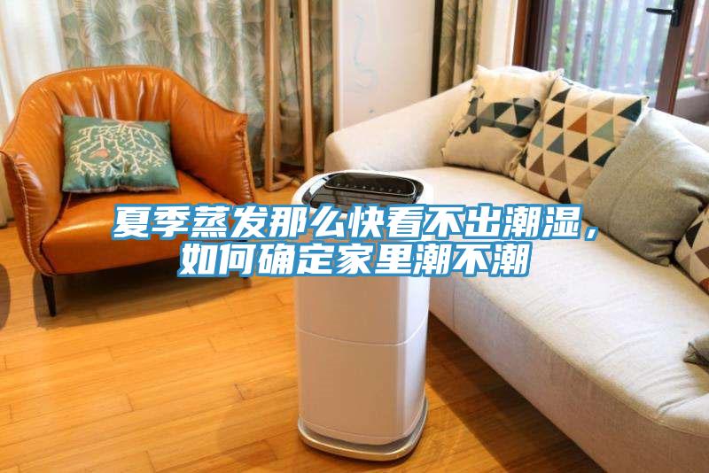 夏季蒸發(fā)那么快看不出潮濕，如何確定家里潮不潮