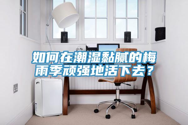 如何在潮濕黏膩的梅雨季頑強(qiáng)地活下去？