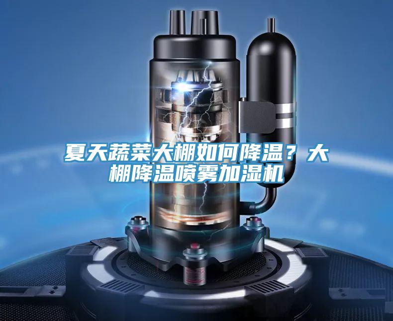 夏天蔬菜大棚如何降溫？大棚降溫噴霧加濕機(jī)