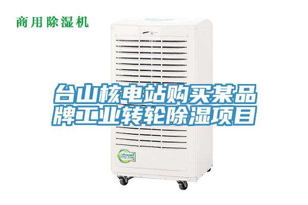 臺山核電站購買某品牌工業(yè)轉(zhuǎn)輪除濕項目