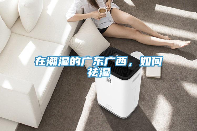 在潮濕的廣東廣西，如何祛濕
