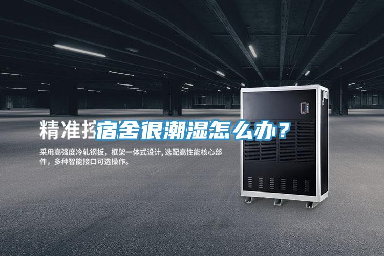 宿舍很潮濕怎么辦？