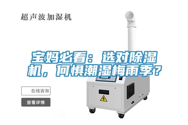 寶媽必看：選對(duì)除濕機(jī)，何懼潮濕梅雨季？