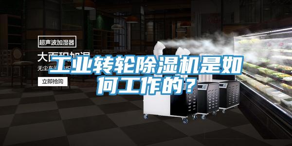 工業(yè)轉(zhuǎn)輪除濕機(jī)是如何工作的？