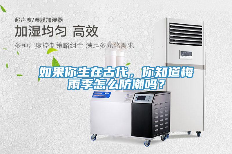 如果你生在古代，你知道梅雨季怎么防潮嗎？