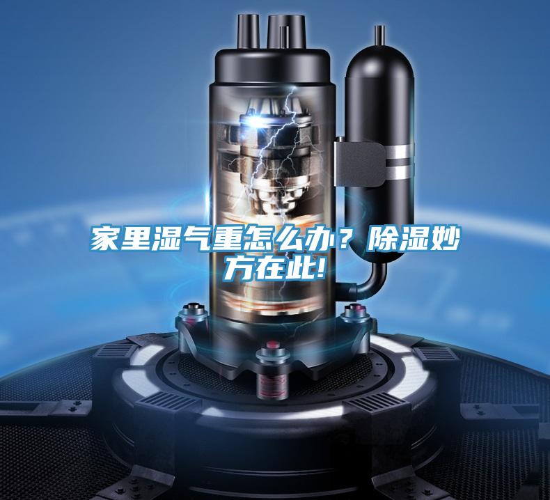 家里濕氣重怎么辦？除濕妙方在此!