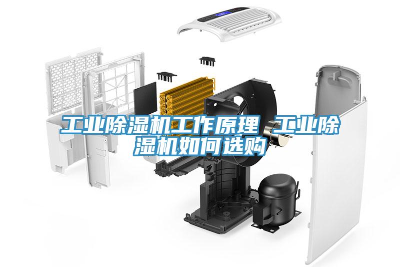 工業(yè)除濕機(jī)工作原理 工業(yè)除濕機(jī)如何選購(gòu)