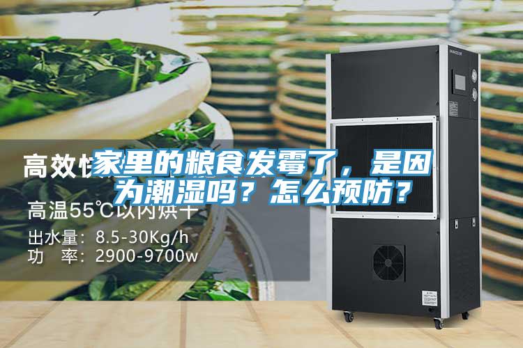 家里的糧食發(fā)霉了，是因為潮濕嗎？怎么預(yù)防？