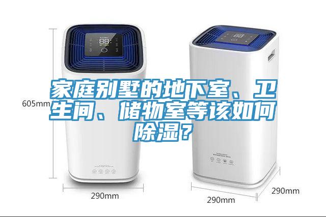 家庭別墅的地下室、衛(wèi)生間、儲(chǔ)物室等該如何除濕？
