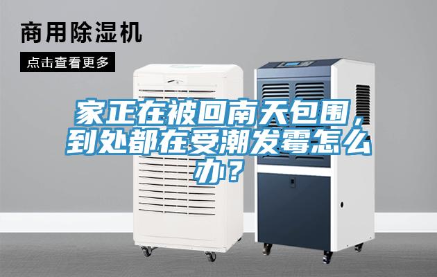家正在被回南天包圍，到處都在受潮發(fā)霉怎么辦？