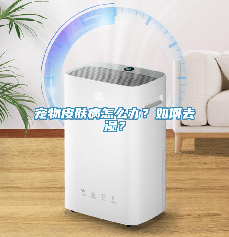 寵物皮膚病怎么辦？如何去濕？