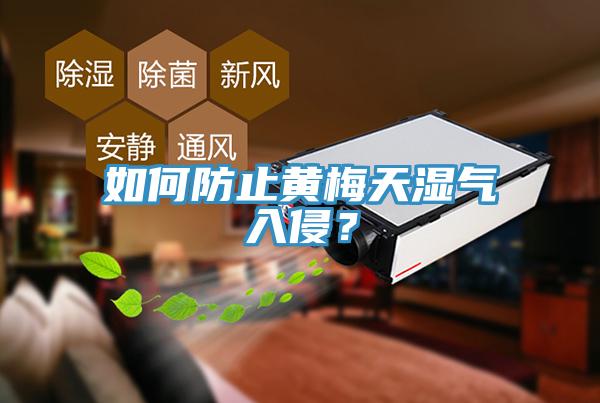 如何防止黃梅天濕氣入侵？