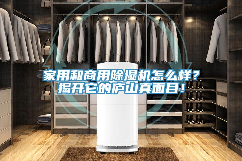 家用和商用除濕機(jī)怎么樣？揭開它的廬山真面目！