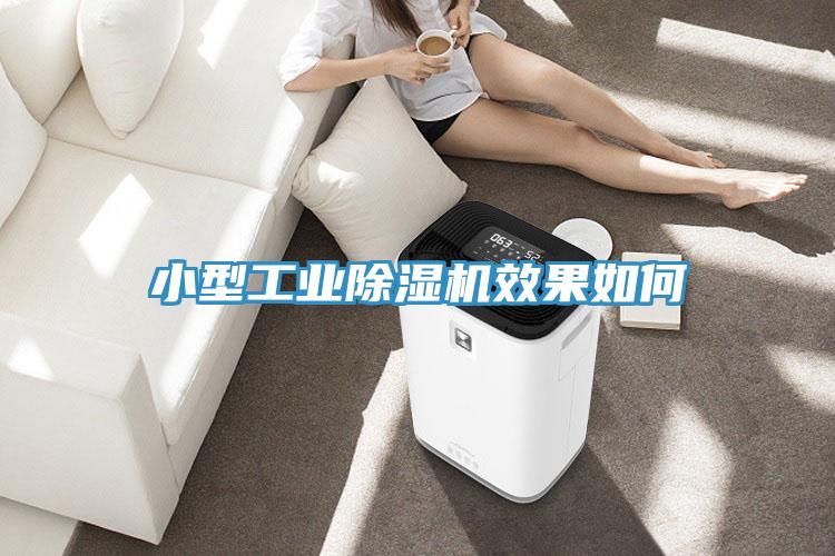 小型工業(yè)除濕機(jī)效果如何