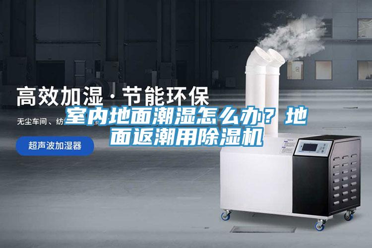 室內(nèi)地面潮濕怎么辦？地面返潮用除濕機(jī)