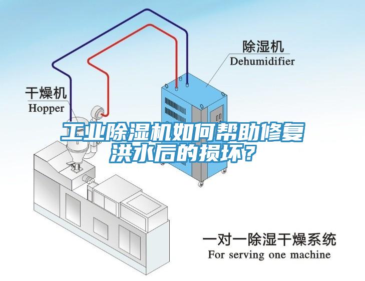 工業(yè)除濕機(jī)如何幫助修復(fù)洪水后的損壞？