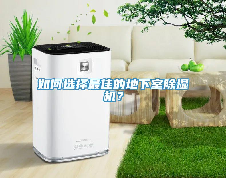 如何選擇最佳的地下室除濕機？