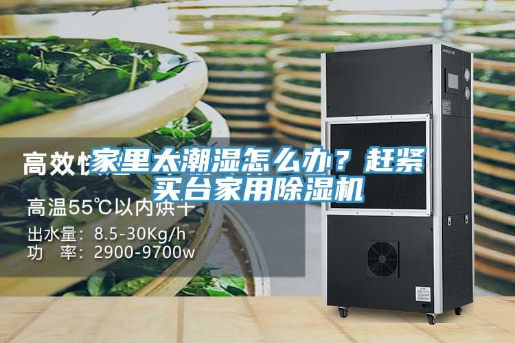 家里太潮濕怎么辦？趕緊買臺家用除濕機