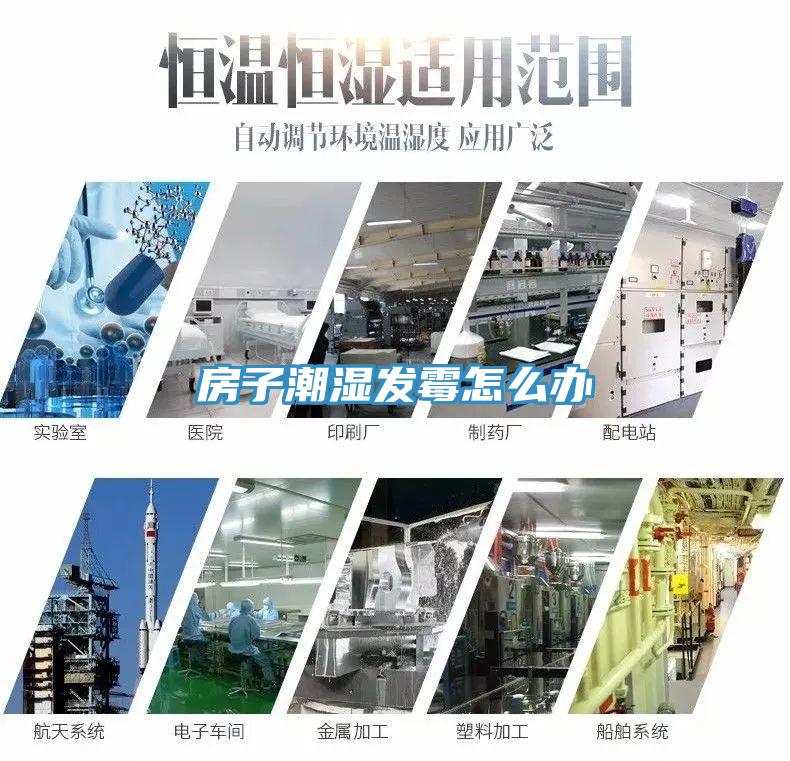 房子潮濕發(fā)霉怎么辦