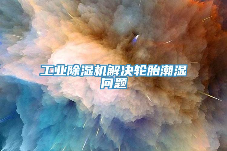 工業(yè)除濕機(jī)解決輪胎潮濕問(wèn)題