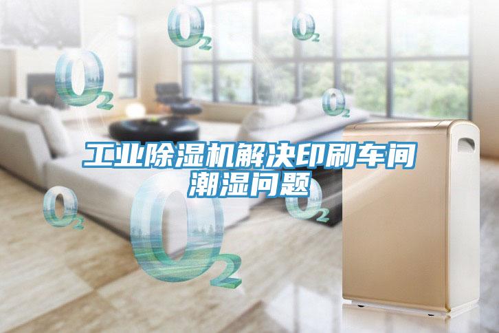 工業(yè)除濕機(jī)解決印刷車(chē)間潮濕問(wèn)題
