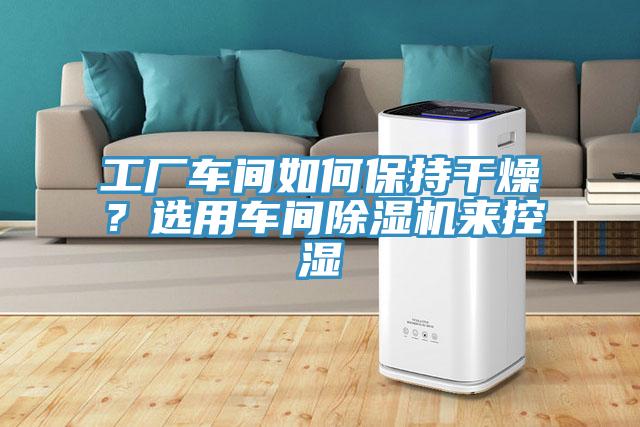 工廠車間如何保持干燥？選用車間除濕機來控濕