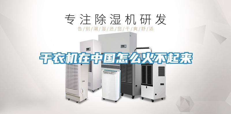 干衣機(jī)在中國(guó)怎么火不起來(lái)