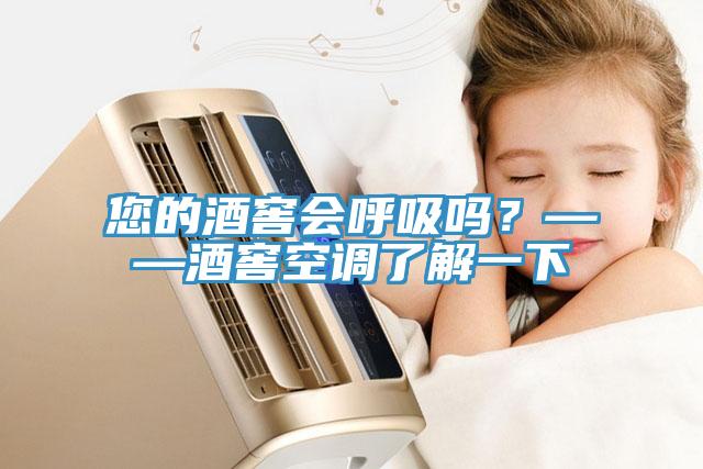 您的酒窖會呼吸嗎？——酒窖空調(diào)了解一下