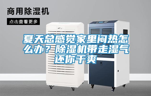 夏天總感覺家里悶熱怎么辦？除濕機帶走濕氣還你干爽
