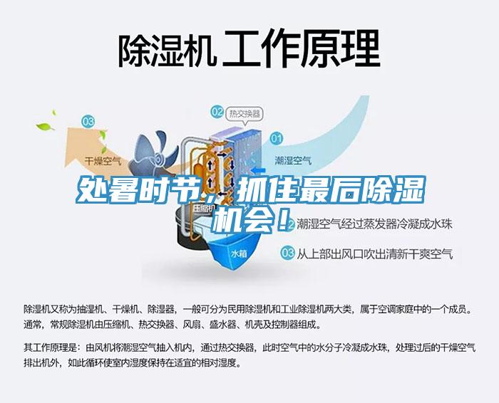 處暑時節(jié)，抓住最后除濕機(jī)會！