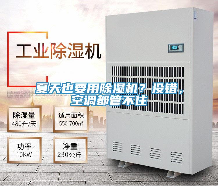 夏天也要用除濕機(jī)？沒錯(cuò)，空調(diào)都管不住