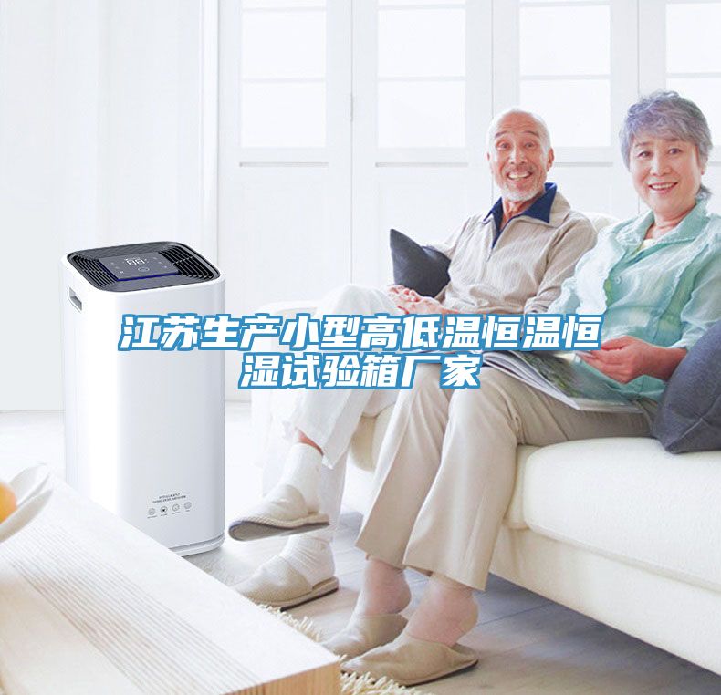 江蘇生產(chǎn)小型高低溫恒溫恒濕試驗(yàn)箱廠家