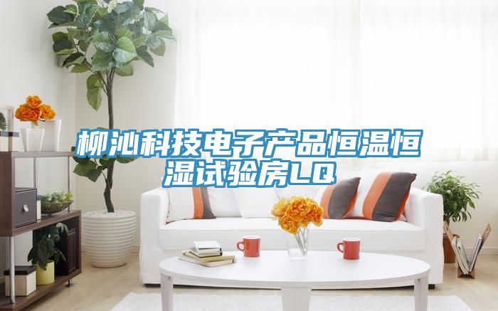 柳沁科技電子產(chǎn)品恒溫恒濕試驗(yàn)房LQ