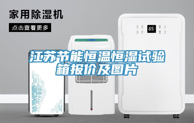 江蘇節(jié)能恒溫恒濕試驗(yàn)箱報(bào)價(jià)及圖片