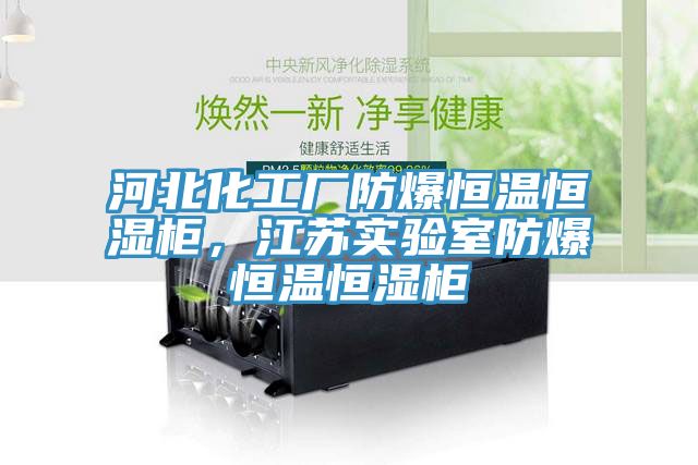 河北化工廠防爆恒溫恒濕柜，江蘇實(shí)驗(yàn)室防爆恒溫恒濕柜