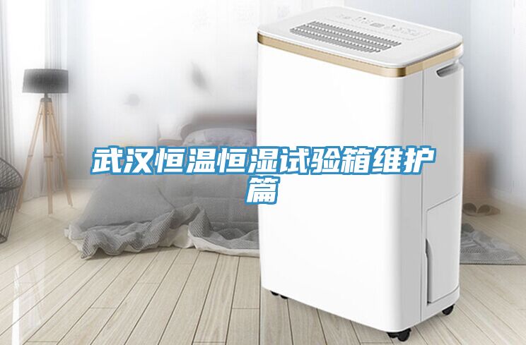 武漢恒溫恒濕試驗(yàn)箱維護(hù)篇