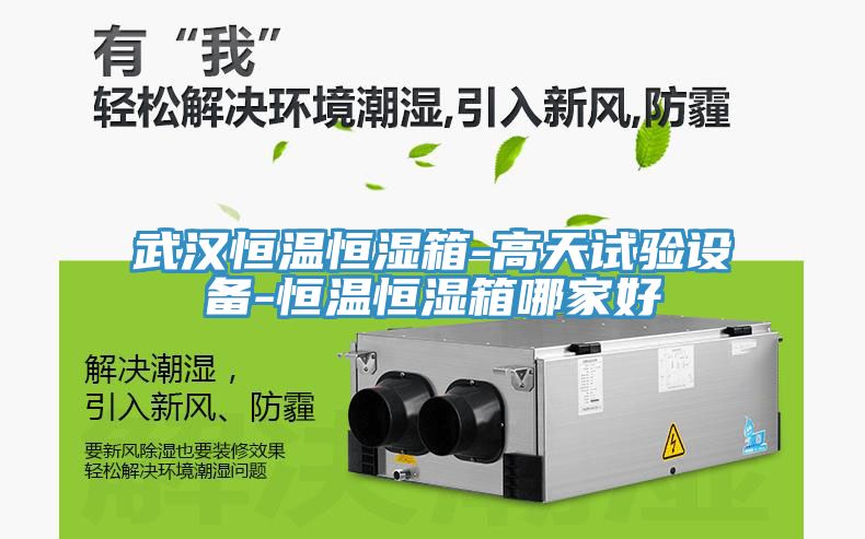 武漢恒溫恒濕箱-高天試驗(yàn)設(shè)備-恒溫恒濕箱哪家好