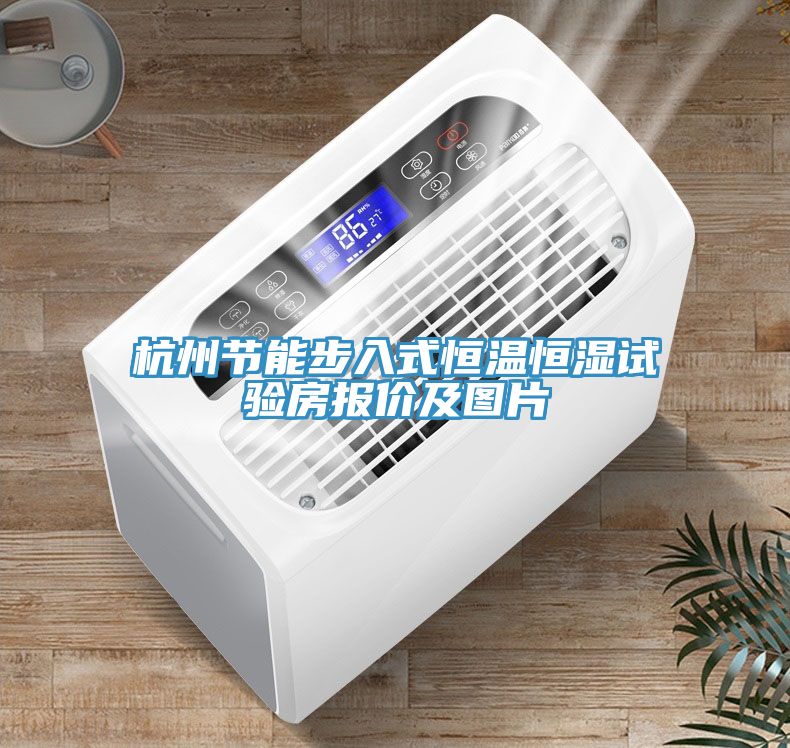 杭州節(jié)能步入式恒溫恒濕試驗房報價及圖片