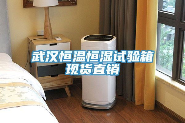 武漢恒溫恒濕試驗(yàn)箱現(xiàn)貨直銷(xiāo)