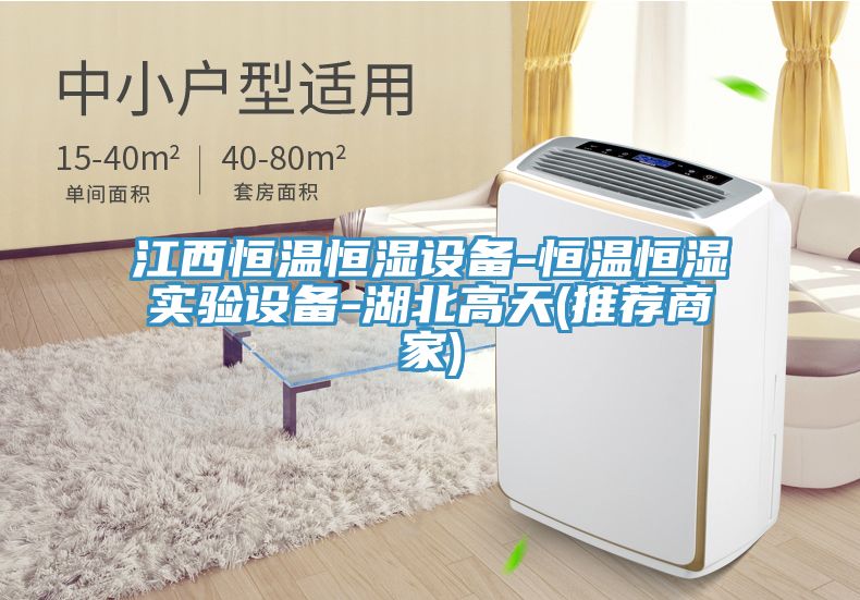 江西恒溫恒濕設(shè)備-恒溫恒濕實驗設(shè)備-湖北高天(推薦商家)